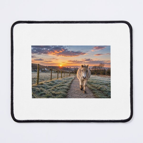 Item preview, Lonely horse at sunrise Ogmore by sea designed and sold by Jinxyboy1908.