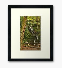 Tillman Ravine and Buttermilk Falls Framed Print