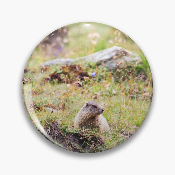 Item preview, Little Marmot in the Alpine Meadow designed and sold by alicjamiekina.