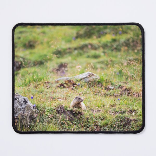 Item preview, Little Marmot in the Alpine Meadow designed and sold by alicjamiekina.