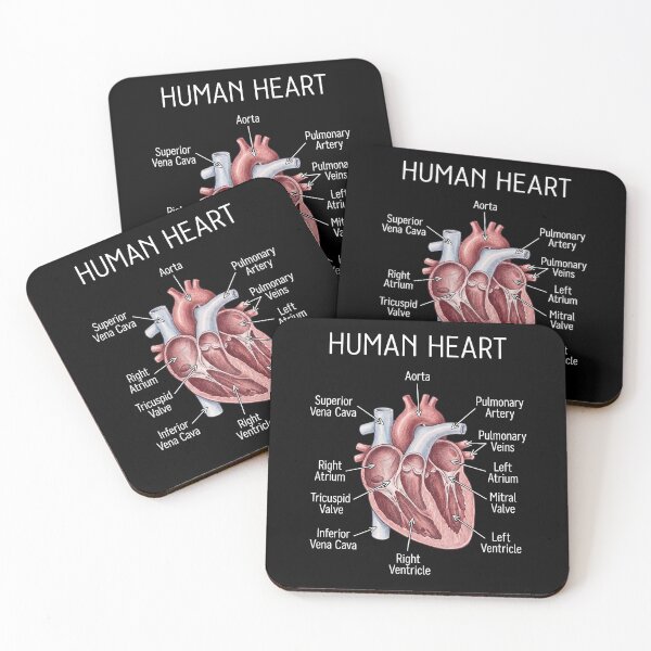 Item preview, Human Heart Anatomy designed and sold by Art-Max.