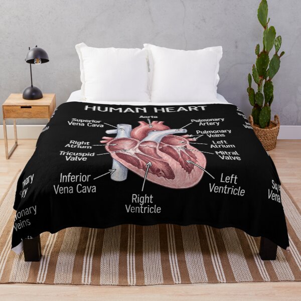 Item preview, Human Heart Anatomy designed and sold by Art-Max.