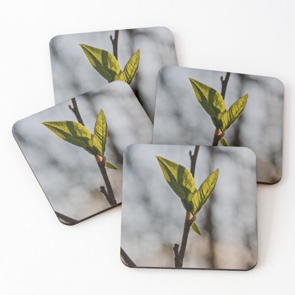 Item preview, Sunlit Spring Leaves designed and sold by ShotsbyDesiree.