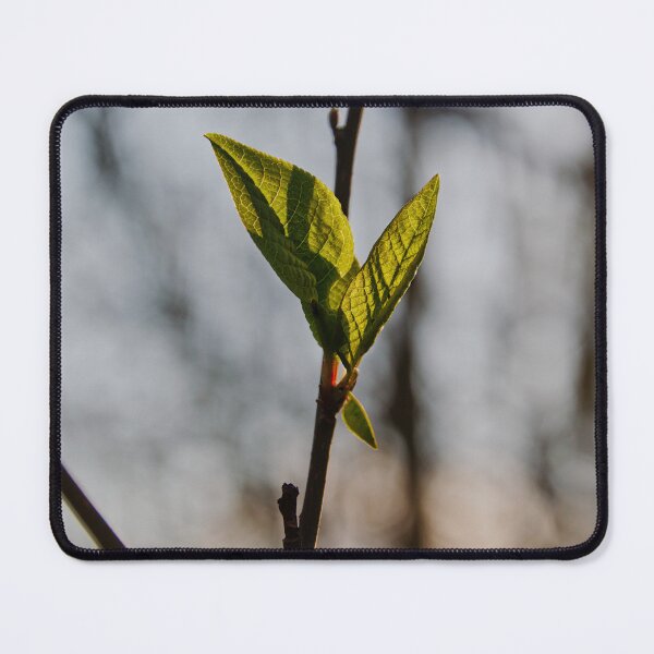 Item preview, Sunlit Spring Leaves designed and sold by ShotsbyDesiree.