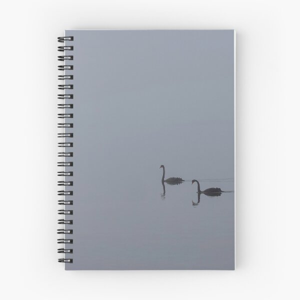 Item preview, Swans in the Fog designed and sold by Matt-Dowse.