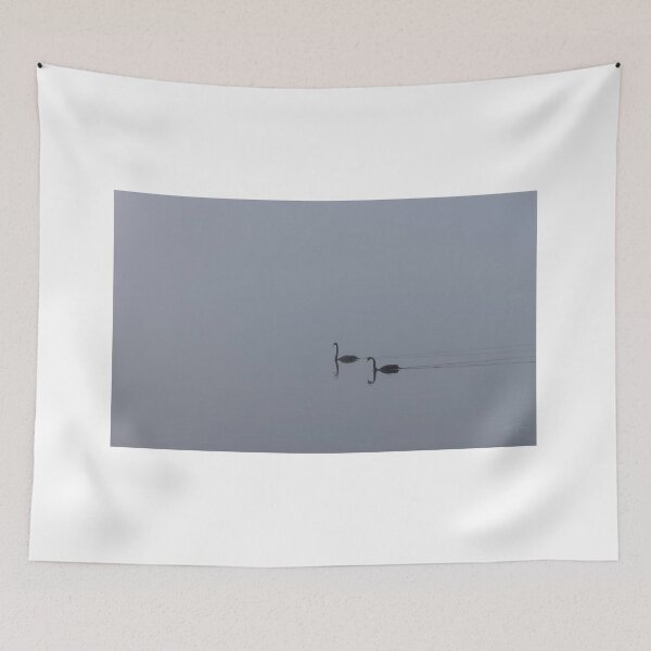 Item preview, Swans in the Fog designed and sold by Matt-Dowse.