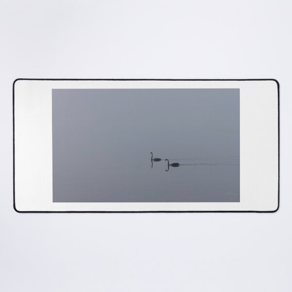 Item preview, Swans in the Fog designed and sold by Matt-Dowse.