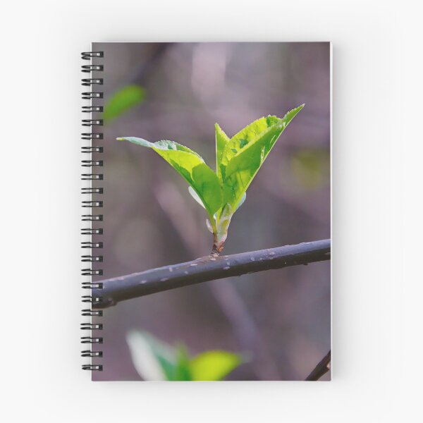 Item preview, Fresh Spring Sprout designed and sold by ShotsbyDesiree.