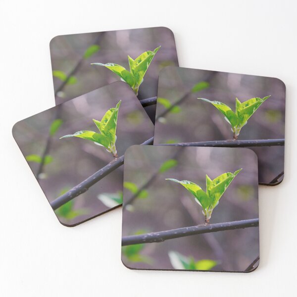 Item preview, Fresh Spring Sprout designed and sold by ShotsbyDesiree.