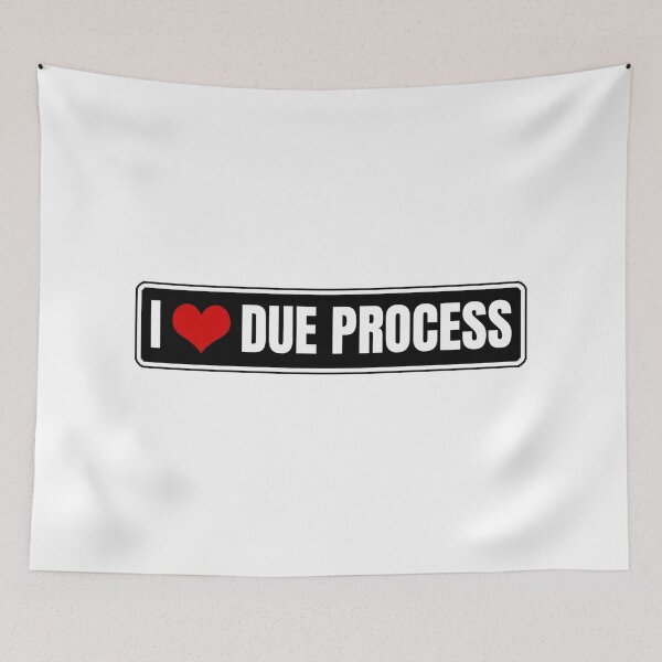 Item preview, I love due process designed and sold by Dondonmart.