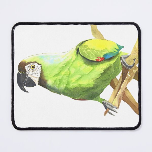 Item preview, Watercolor Severe Macaw Parrot Painting – Chestnut-Fronted Macaw Illustration designed and sold by Cobalt Blue Watercolors.