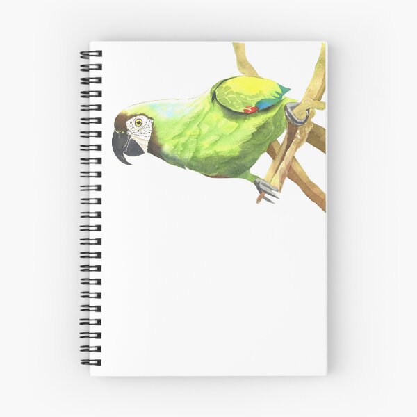 Item preview, Watercolor Severe Macaw Parrot Painting – Chestnut-Fronted Macaw Illustration designed and sold by Cobalt Blue Watercolors.