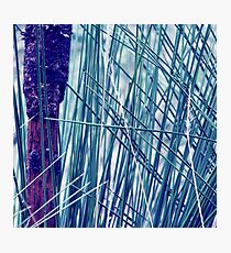 Upright Photographic Print