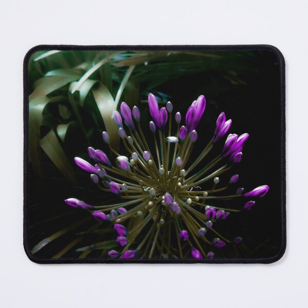 Item preview, The Flower World of Fantasy designed and sold by Pentagonth3f.