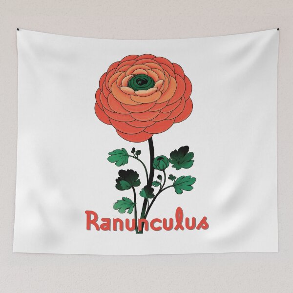 Item preview, Wall Art - Postcard - Ranunculus Floral Illustration designed and sold by ForeverPrintsOK.
