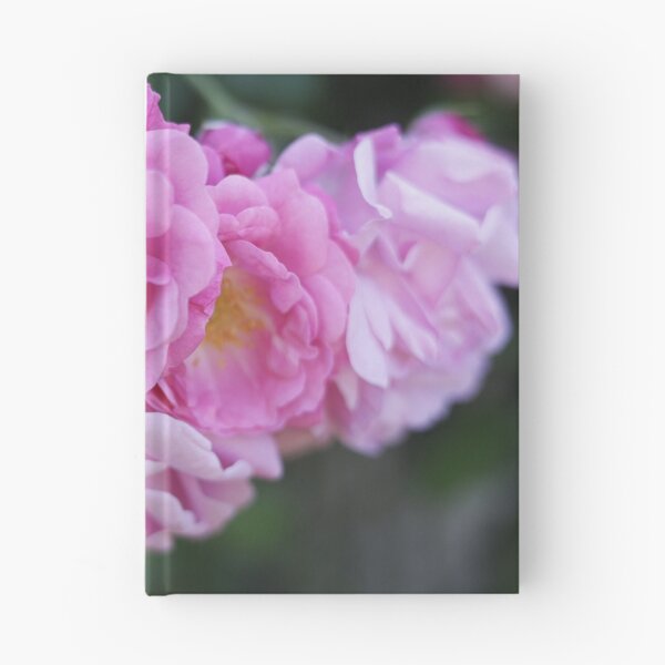 Item preview, Soft Pink Roses Cluster Macro designed and sold by Pajacoom.