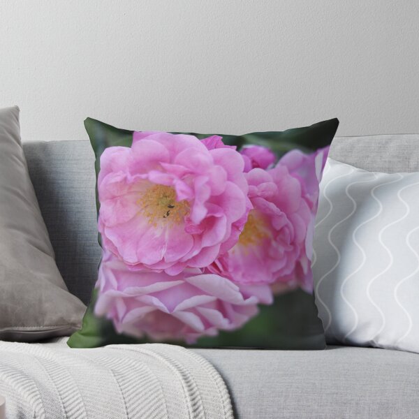 Item preview, Soft Pink Roses Cluster Macro designed and sold by Pajacoom.
