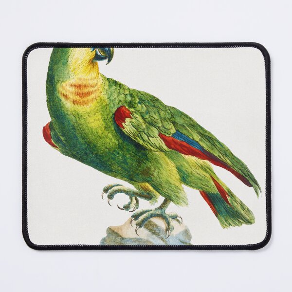 Item preview, Vintage Green Parrot Print designed and sold by Gilmour-Prints.