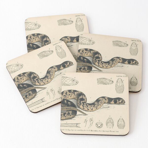 Item preview, Pixel Art 1882 Mozambique Snake Anatomy Plate designed and sold by aigcx.