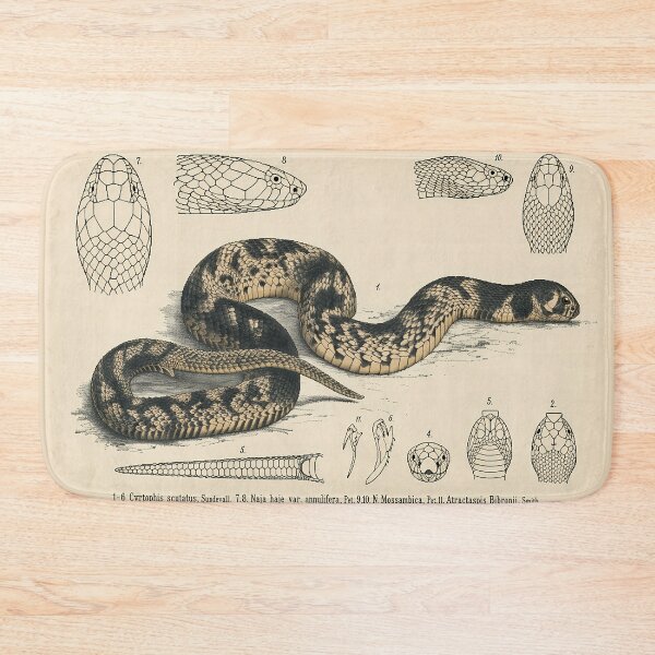 Item preview, Pixel Art 1882 Mozambique Snake Anatomy Plate designed and sold by aigcx.