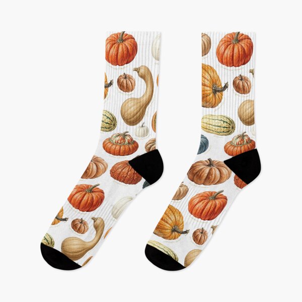 Item preview, Pumpkin Types Botanical Illustration Chart designed and sold by iclipart.