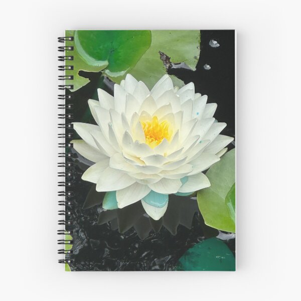 Item preview, Water Lily designed and sold by HullyBoo.