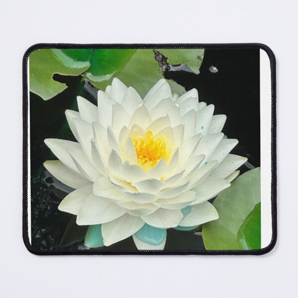 Item preview, Water Lily designed and sold by HullyBoo.