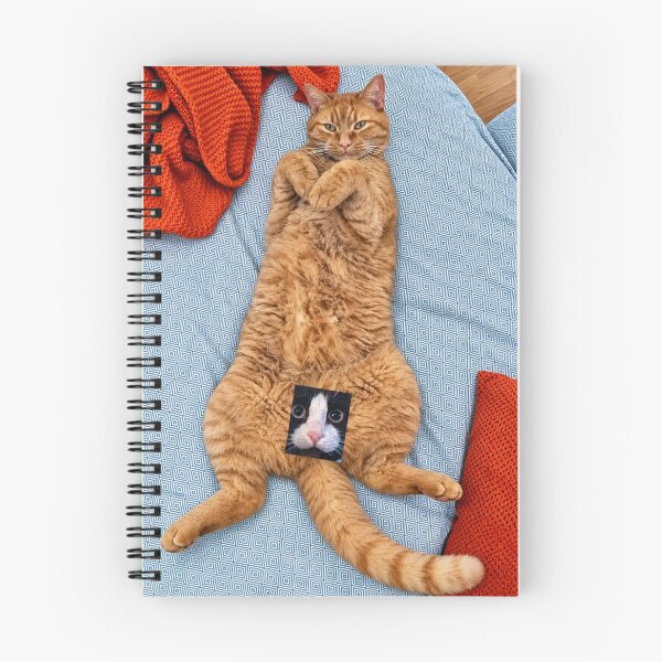 Item preview, Cheeky Magnus Viral Cat Photo designed and sold by clawfuldesigns.