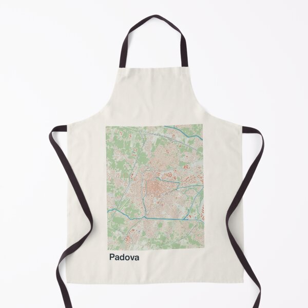 Item preview, Padua Minimalistic Map Art designed and sold by MapsNerd.
