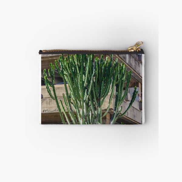 Item preview, Tall Cactus Tree Grows Beside Weathered Concrete Parking Structure Under Blue Sky designed and sold by Nmallia.
