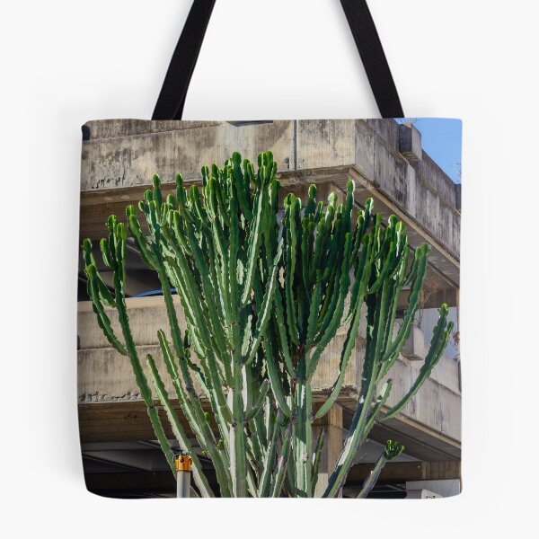 Item preview, Tall Cactus Tree Grows Beside Weathered Concrete Parking Structure Under Blue Sky designed and sold by Nmallia.