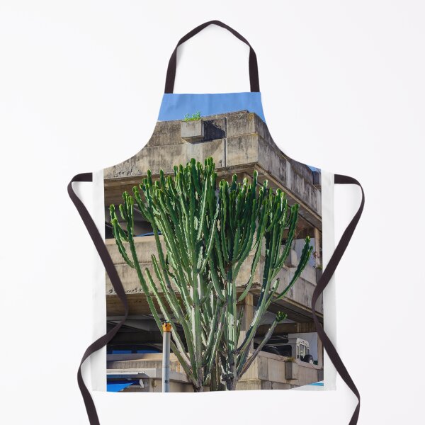 Item preview, Tall Cactus Tree Grows Beside Weathered Concrete Parking Structure Under Blue Sky designed and sold by Nmallia.