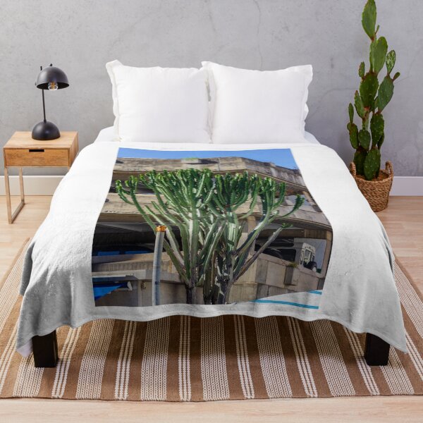 Item preview, Tall Cactus Tree Grows Beside Weathered Concrete Parking Structure Under Blue Sky designed and sold by Nmallia.