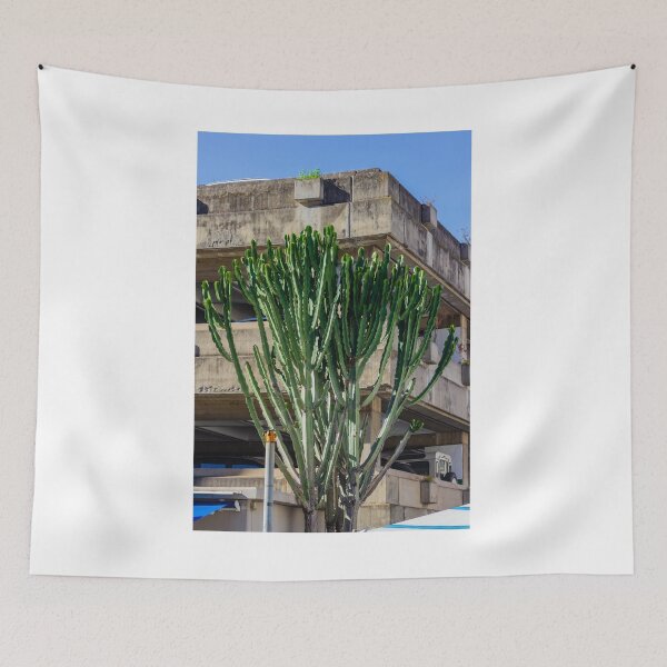 Item preview, Tall Cactus Tree Grows Beside Weathered Concrete Parking Structure Under Blue Sky designed and sold by Nmallia.