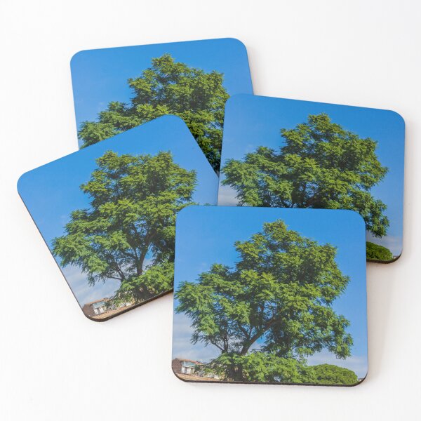 Item preview, Vibrant Green Tree Silhouette Against Clear Blue Sky Over Urban Park Scene During Sunny Day designed and sold by Nmallia.