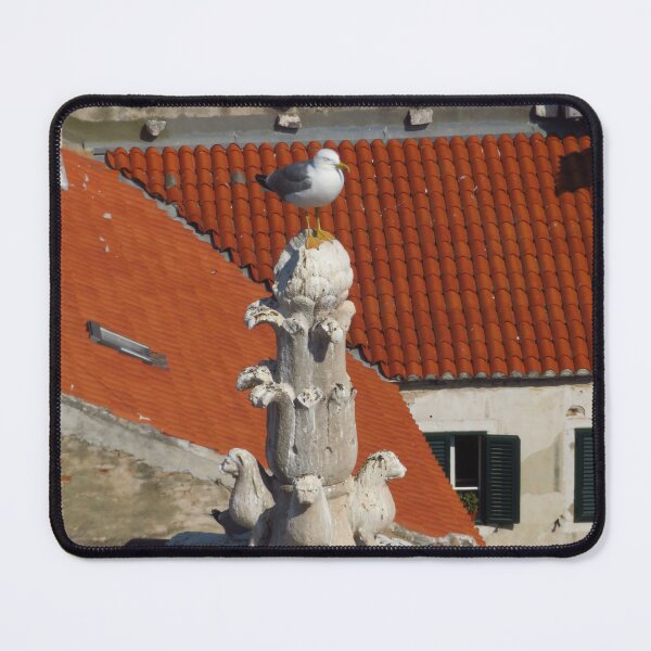 Item preview, Panoramic Perch designed and sold by wiggyofipswich.
