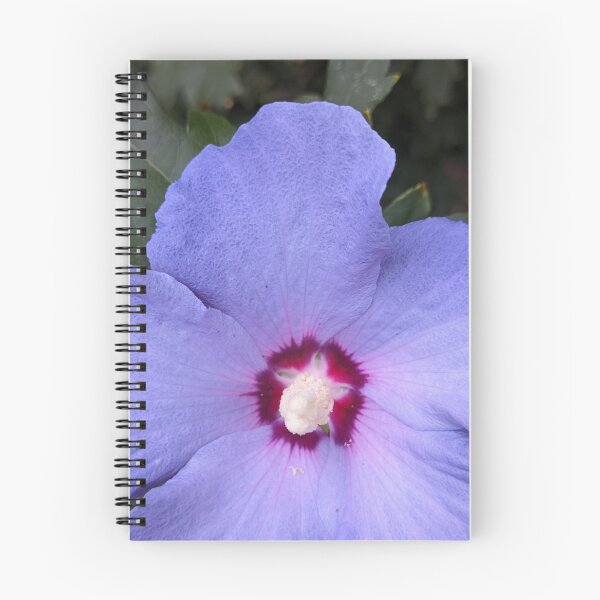 Item preview, Blue Hibiscus Flower Symmetry, Botanical Macro Photography designed and sold by PrettyAround.