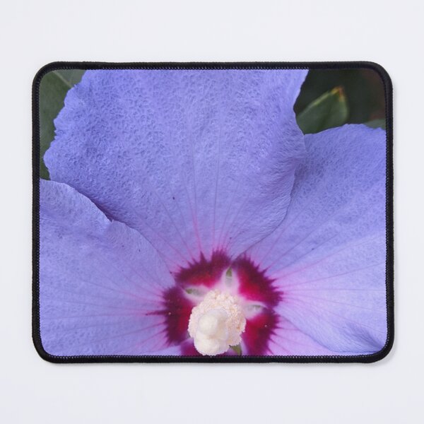 Item preview, Blue Hibiscus Flower Symmetry, Botanical Macro Photography designed and sold by PrettyAround.