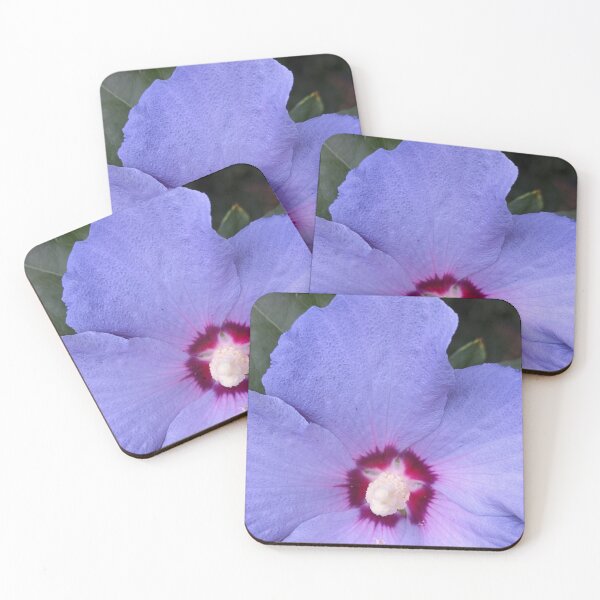Item preview, Blue Hibiscus Flower Symmetry, Botanical Macro Photography designed and sold by PrettyAround.
