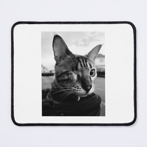 Item preview, Oscar with friends designed and sold by Naomi AKA Mackay.