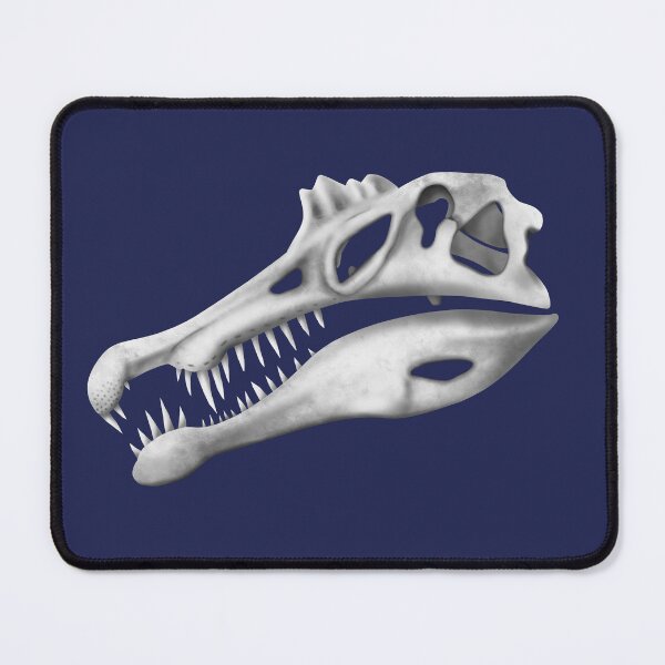 Item preview, Spinosaurus Skull designed and sold by JAMiron Paleoart.