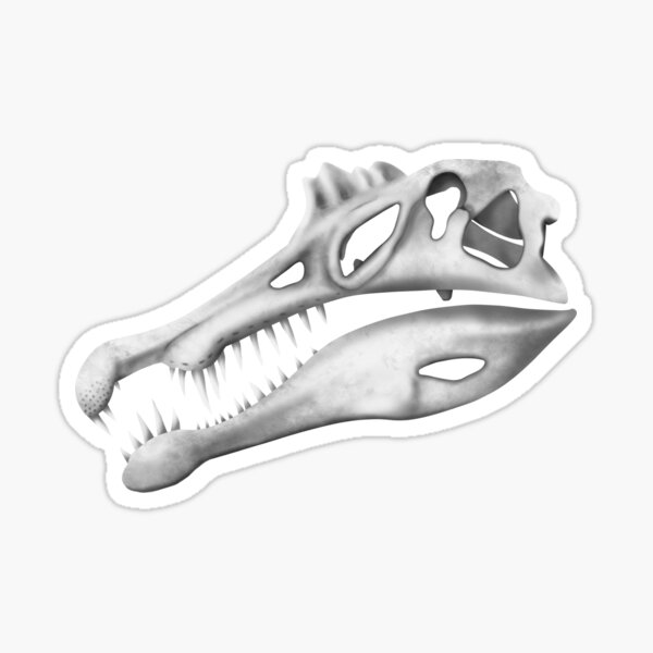 Item preview, Spinosaurus Skull designed and sold by JAMiron Paleoart.