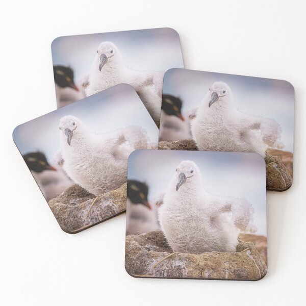 Item preview, Fluffy Albatross Chick in Nest Falkland Islands designed and sold by PhotoArt by Joan Carroll.