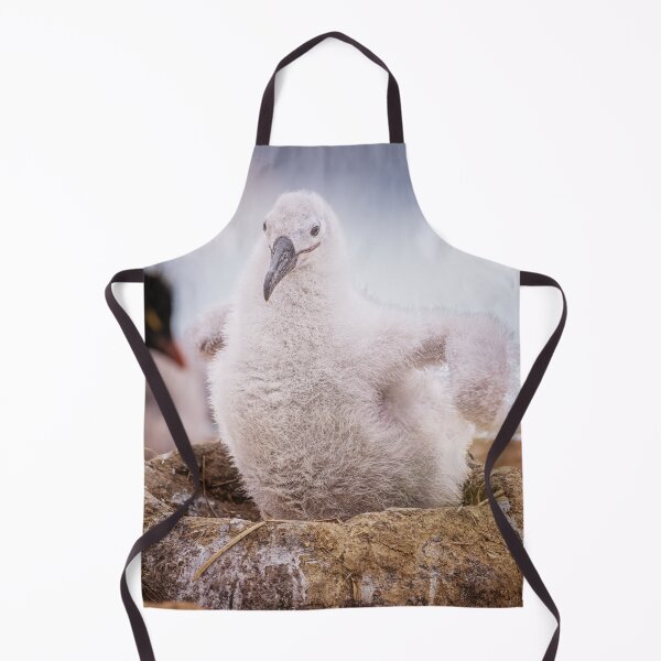 Item preview, Fluffy Albatross Chick in Nest Falkland Islands designed and sold by PhotoArt by Joan Carroll.