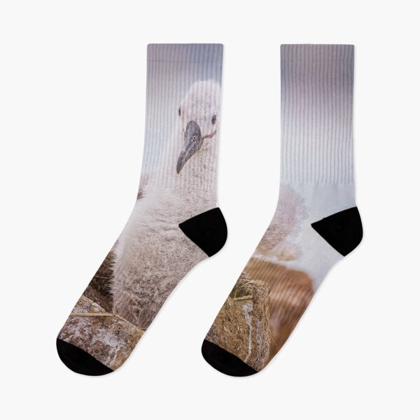 Item preview, Fluffy Albatross Chick in Nest Falkland Islands designed and sold by PhotoArt by Joan Carroll.