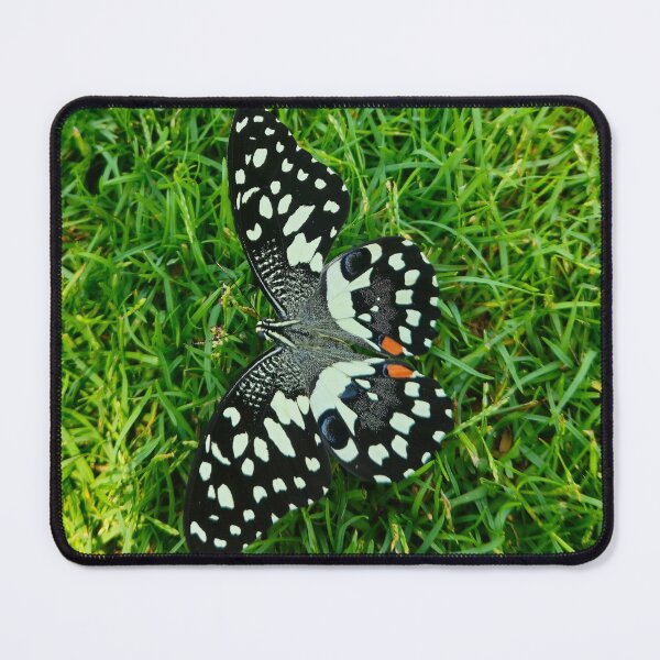 Item preview, Exotic Lime Swallowtail Butterfly on Vivid Green Grass designed and sold by Yanshuf.