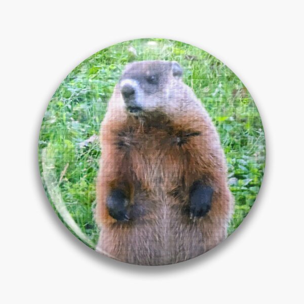 Item preview, A Groundhog With Attitude! designed and sold by Judy Geller.