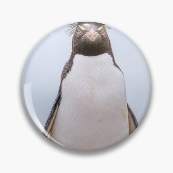 Item preview, Rockhopper Penguin Falkland Islands designed and sold by PhotoArt by Joan Carroll.