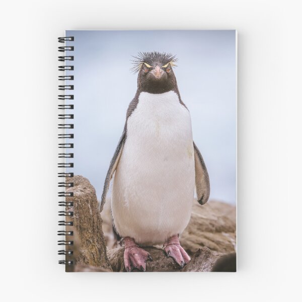 Item preview, Rockhopper Penguin Falkland Islands designed and sold by PhotoArt by Joan Carroll.