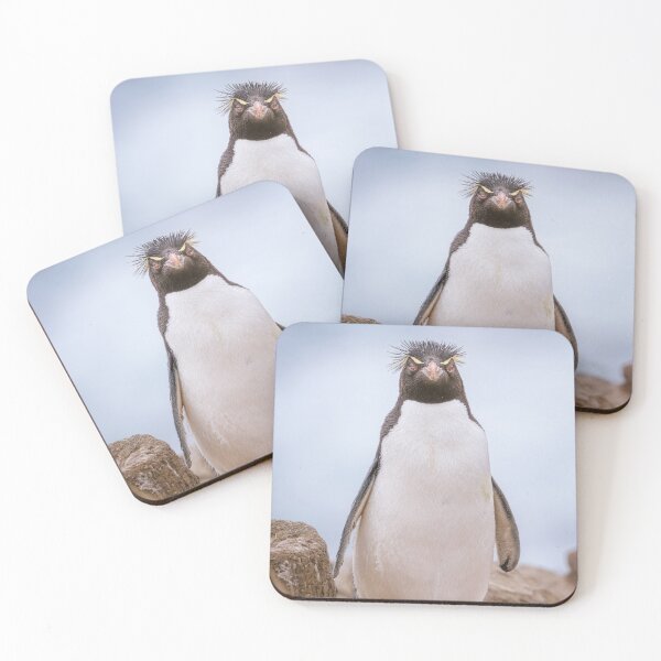 Item preview, Rockhopper Penguin Falkland Islands designed and sold by PhotoArt by Joan Carroll.